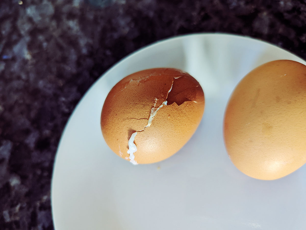 Egg Cooker lidl silvercrest sed 400w 