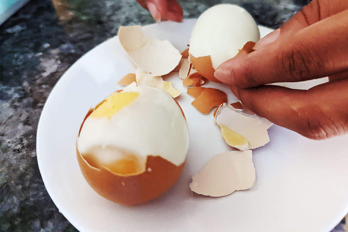 inhalen Nauwkeurig engel We Tried the Lidl SilverCrest Egg Cooker (Review) | Munchalot