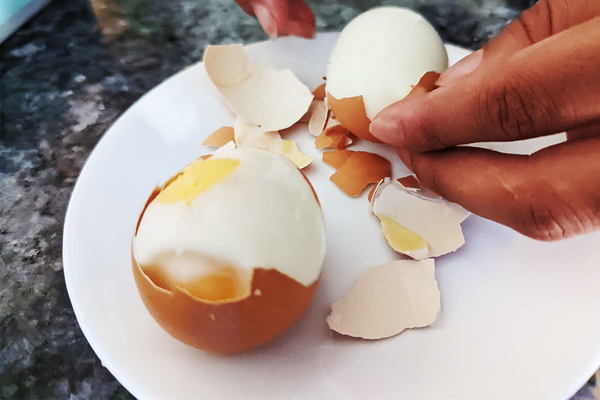 Middle of Lidl - SilverCrest Egg Cooker - We're getting quite a shellection  of these! 